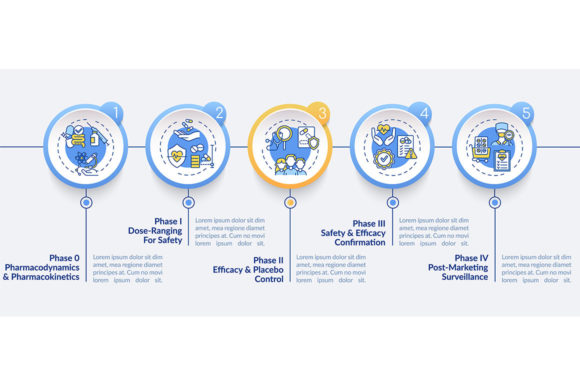 Clinical Study Phases Vector Infographic – Graphic Templates for Design
