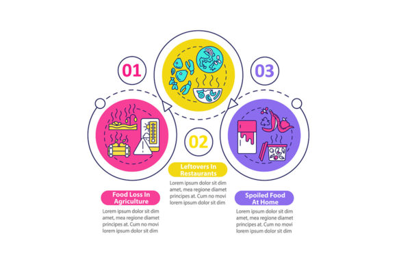 Food Waste Sorts Vector Infographic